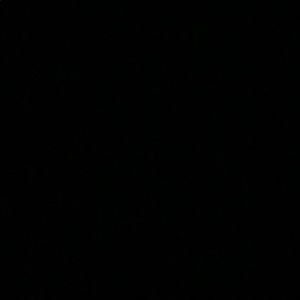 Meet your Posher, Brynesha